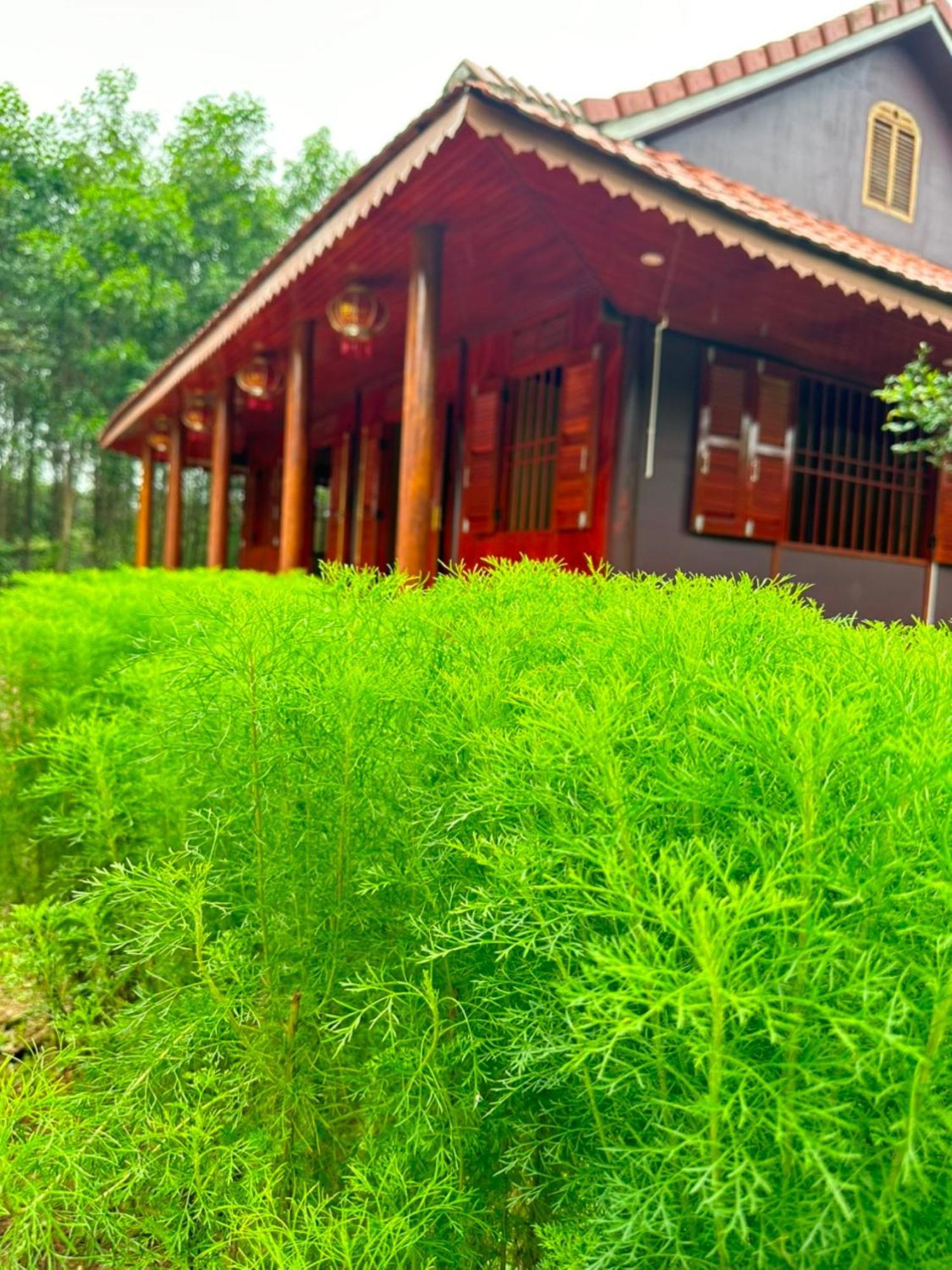 Phong Nha Eco Village Экстерьер фото