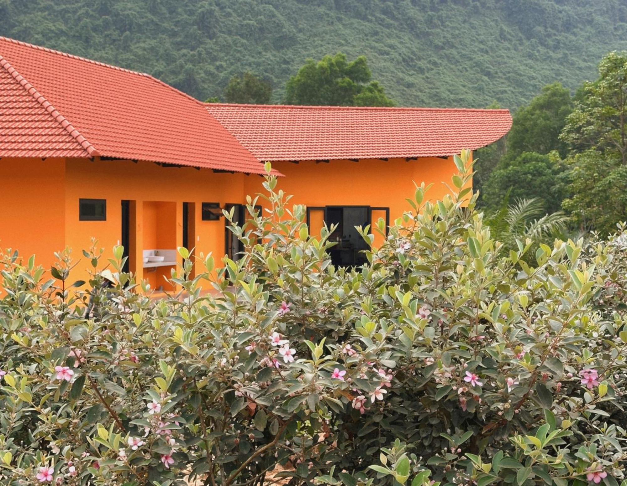 Phong Nha Eco Village Экстерьер фото